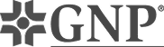 GNP